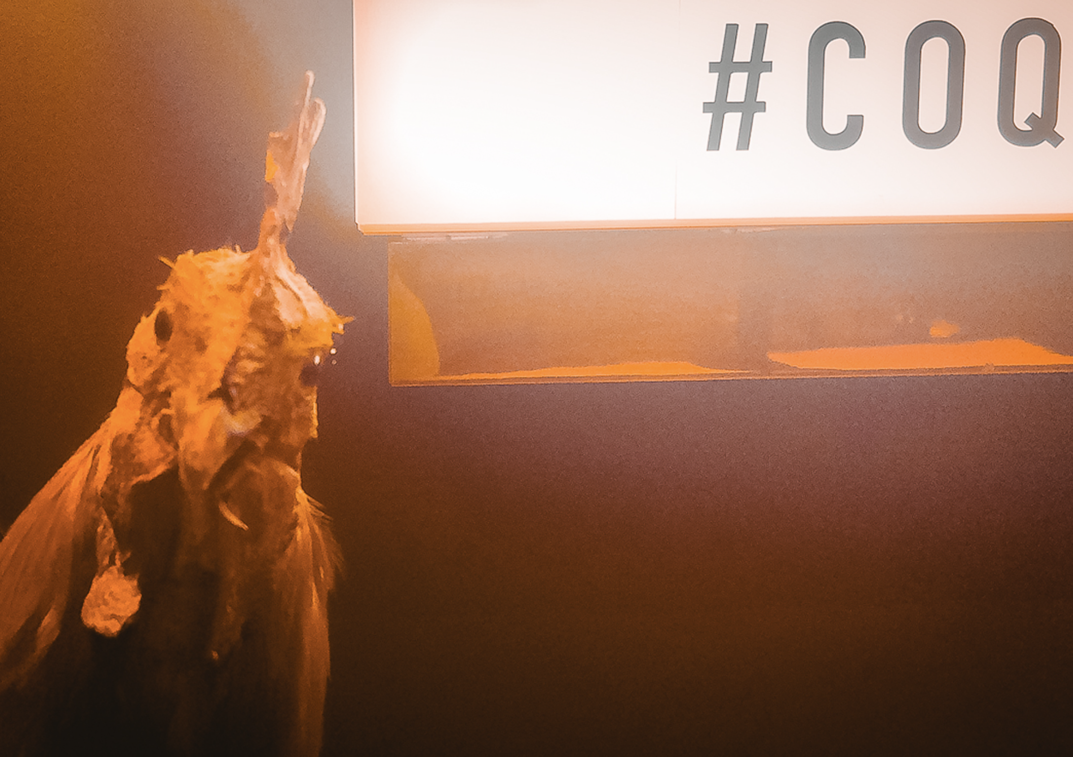COQ Hotel